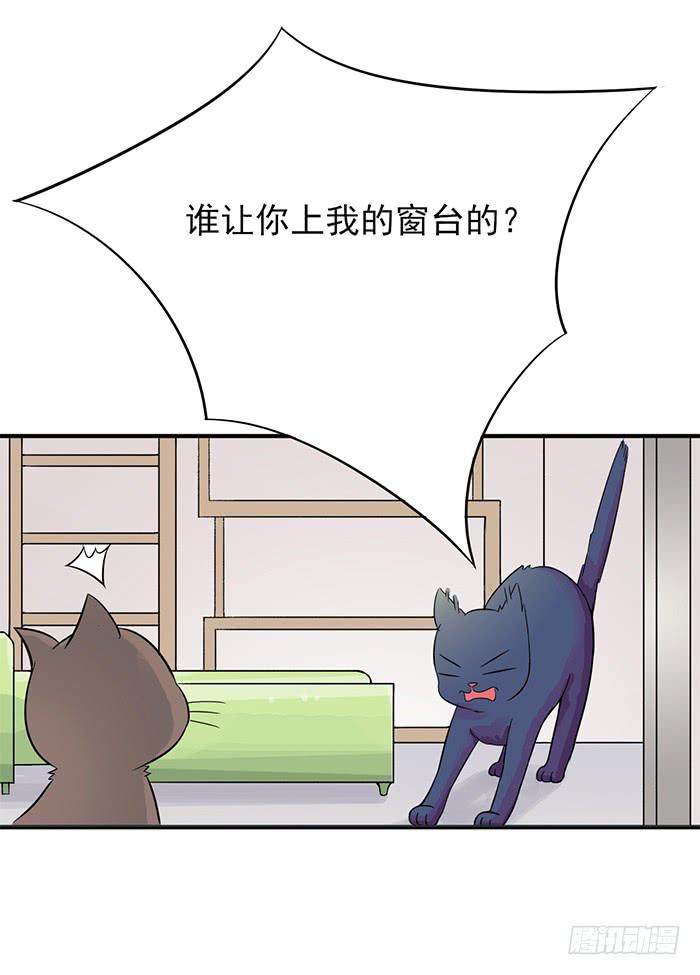 第011话7