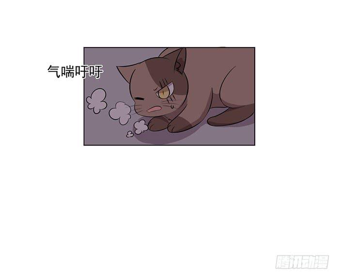 第042话24