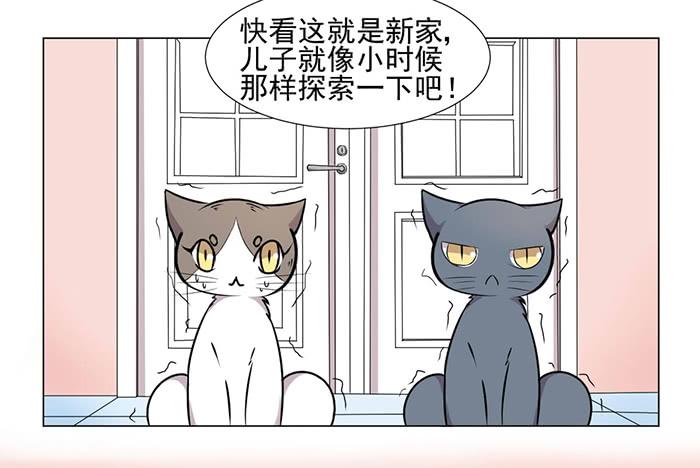 第040话24