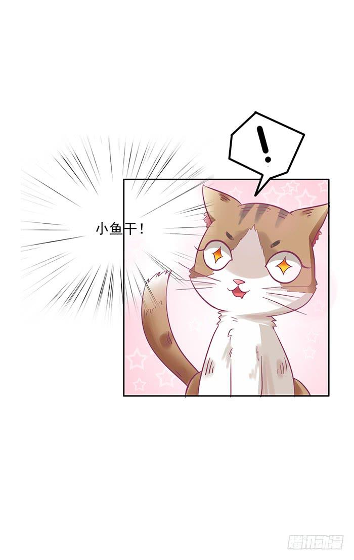 第005话7