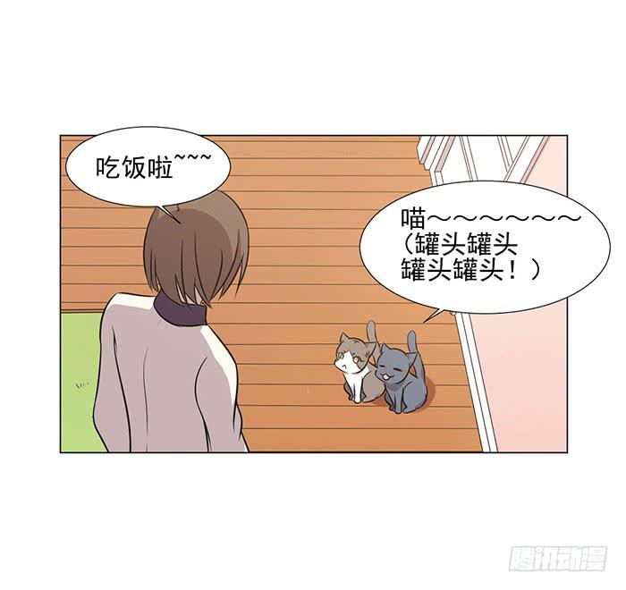 第041话61