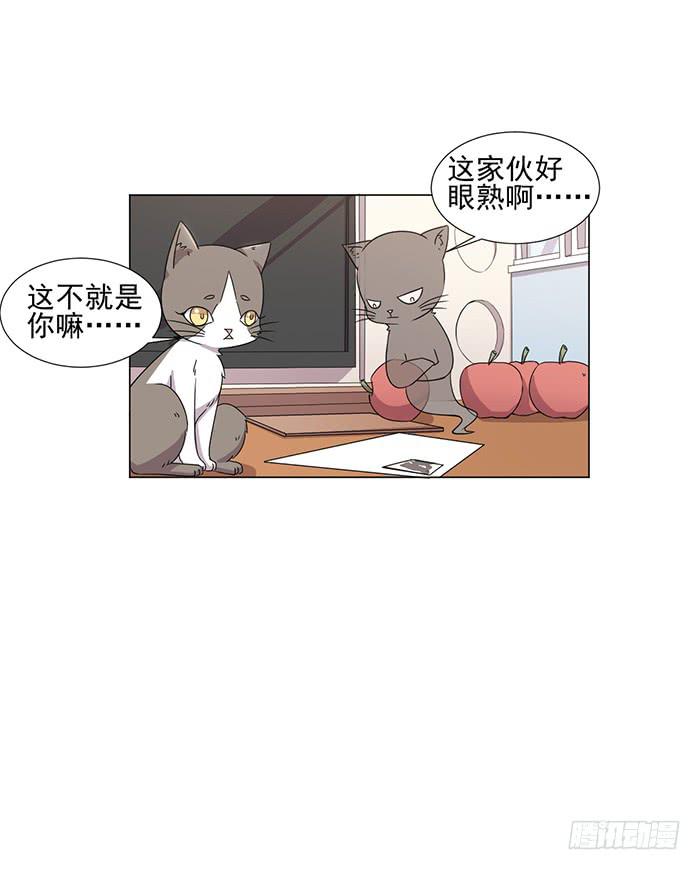 第045话13