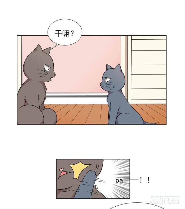 第040话61
