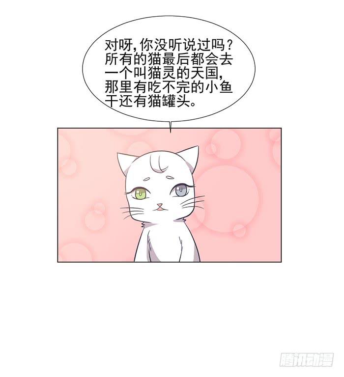 第042话6