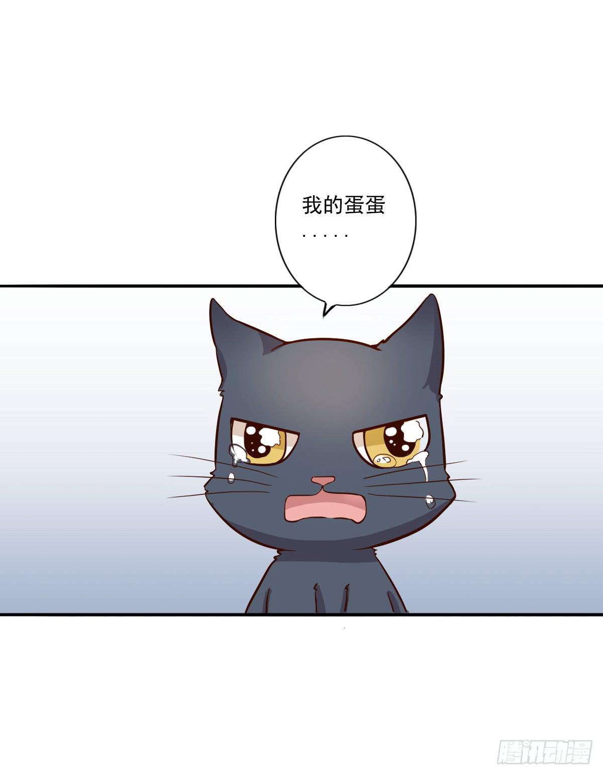 第003话37