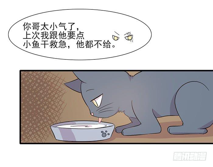 第013话30