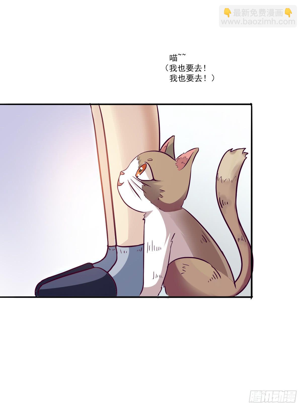 第003话11