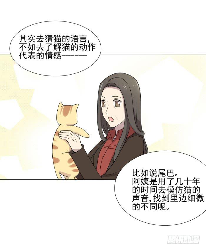 最终话33