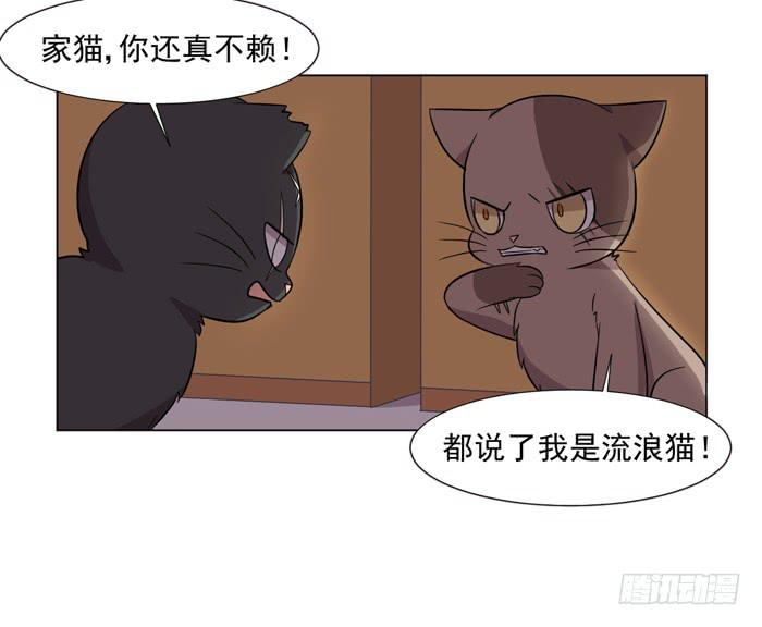 第042话42