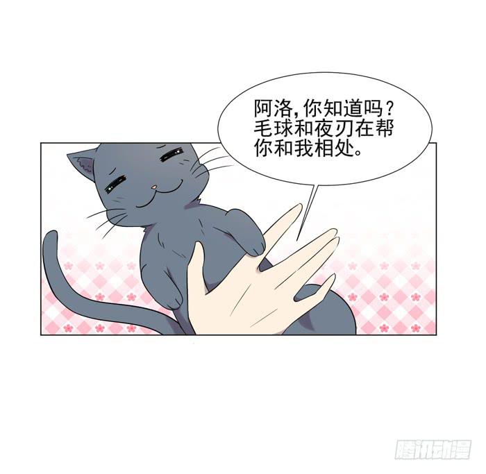 最终话40