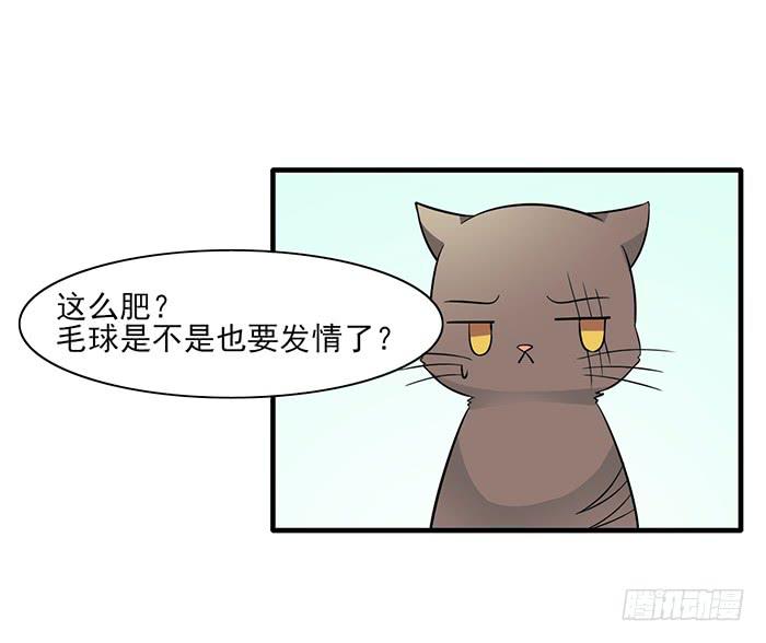 第012话13
