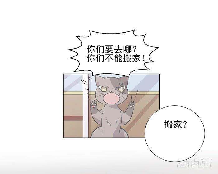 第039话43