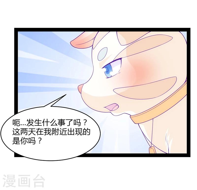 第41话12