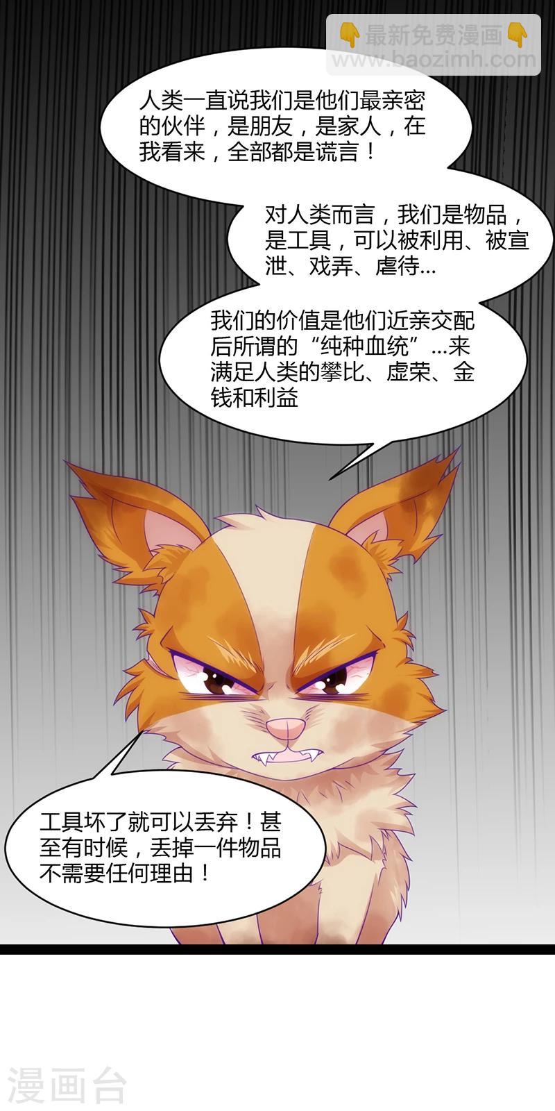 第41话17