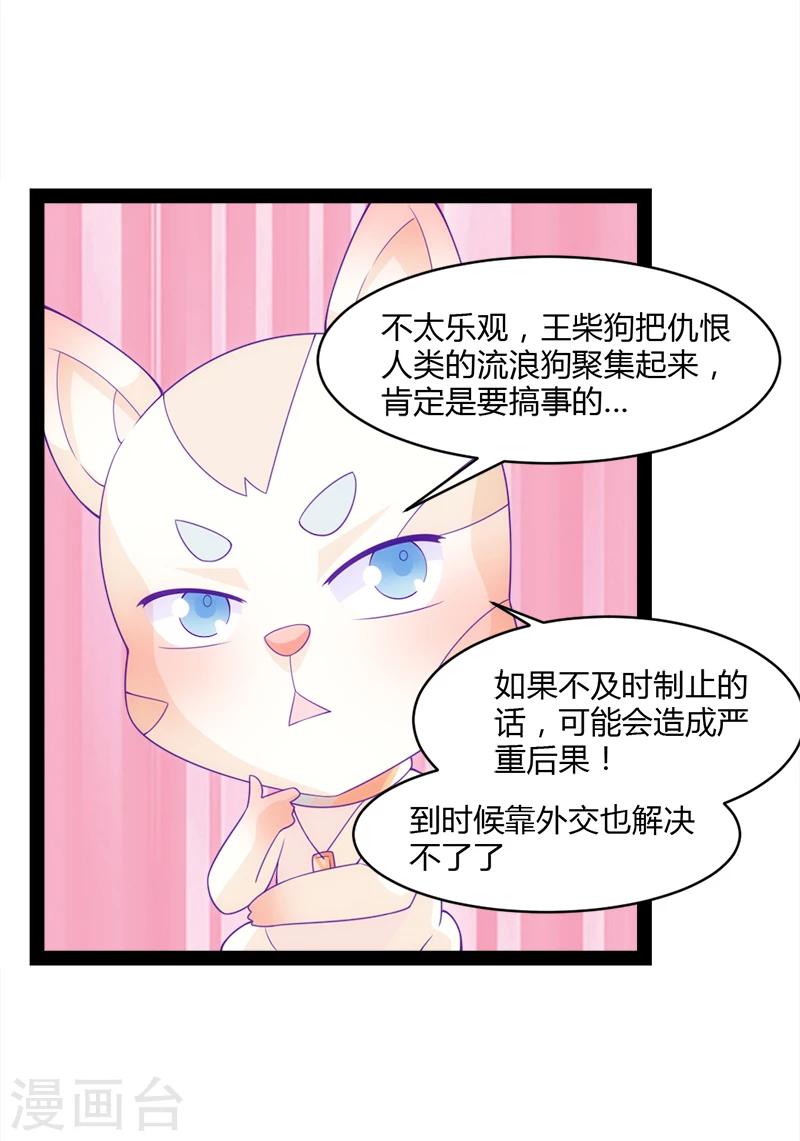 最终话23