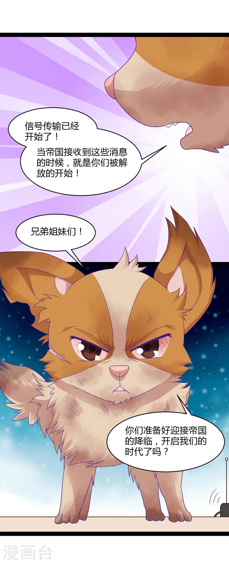最终话31
