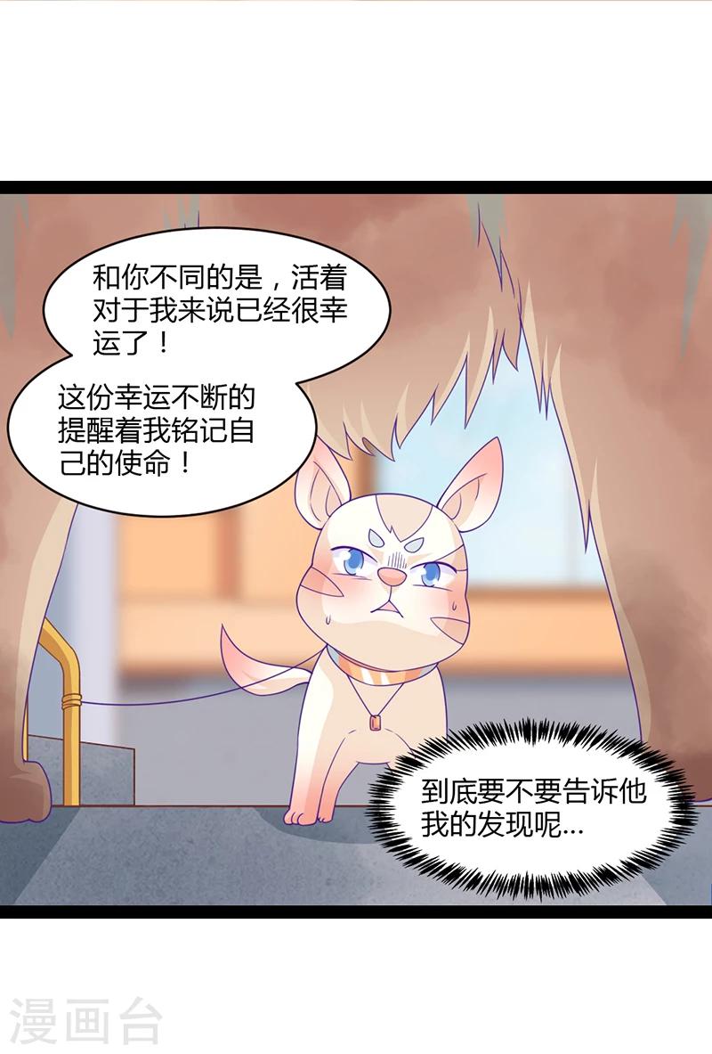 第41话19