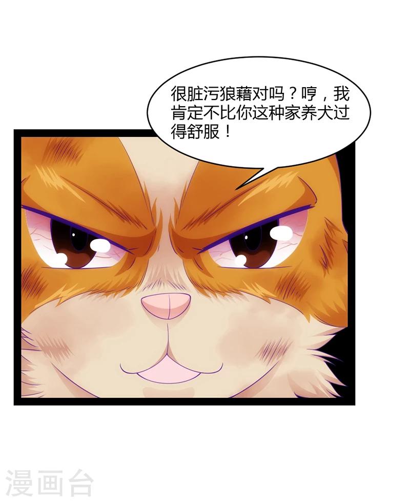 第41话11