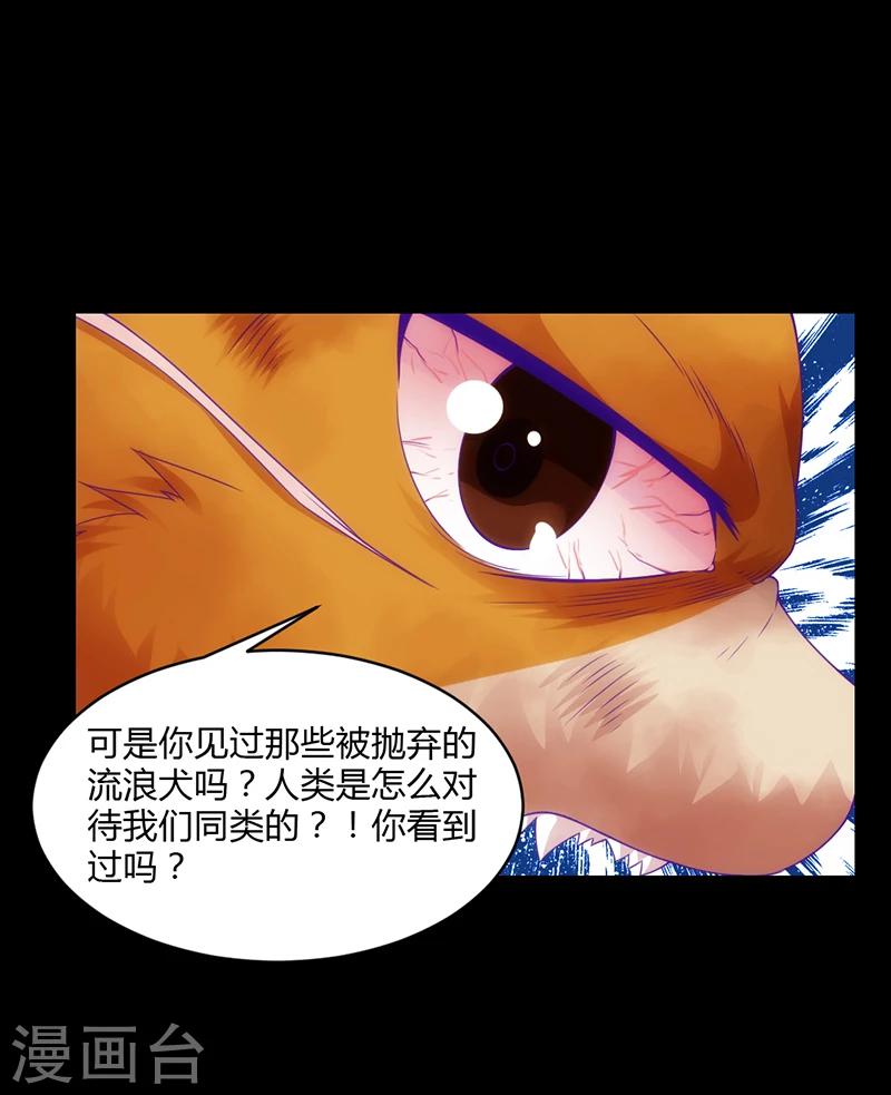 第41话15