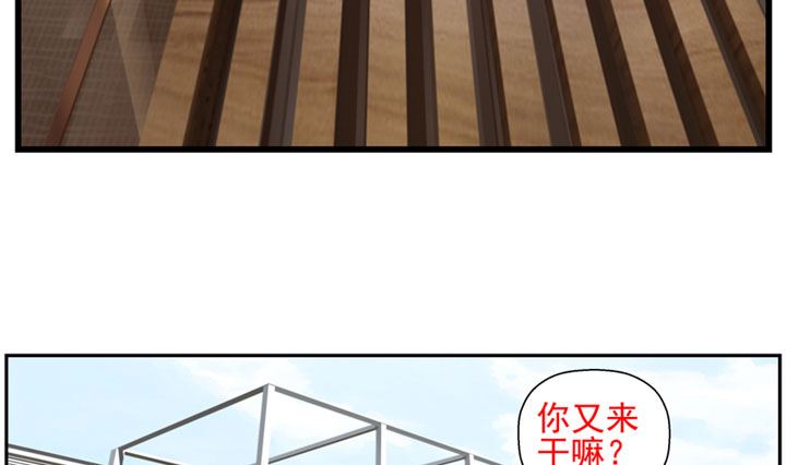 监视（上）51