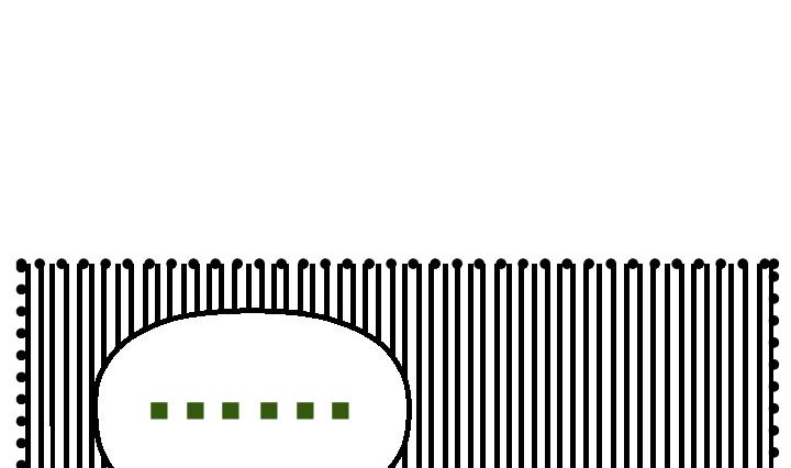 监视（四）25