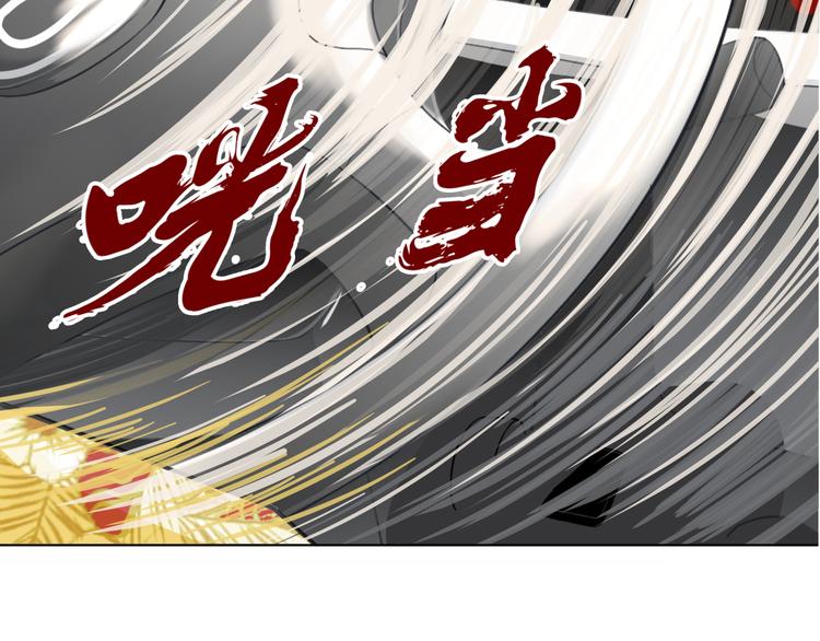 第八回 突如其来的意外17