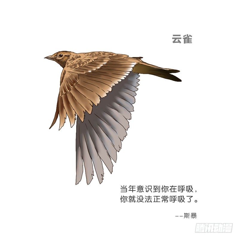 12公交车密会66