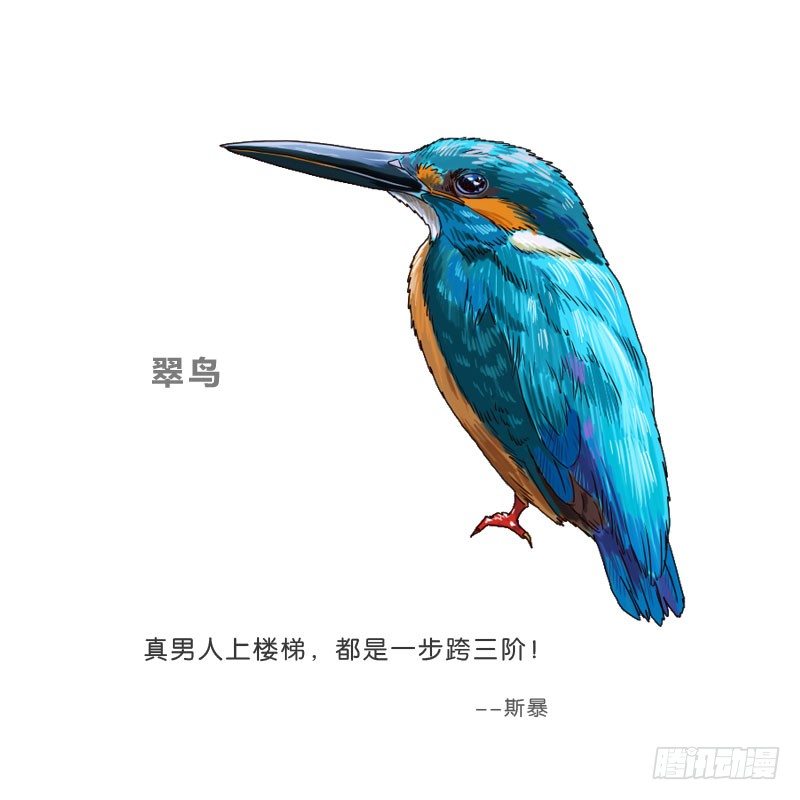 8女人的衣柜59