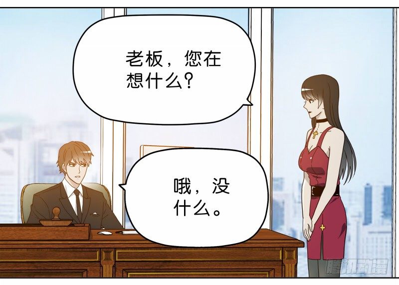 8女人的衣柜17