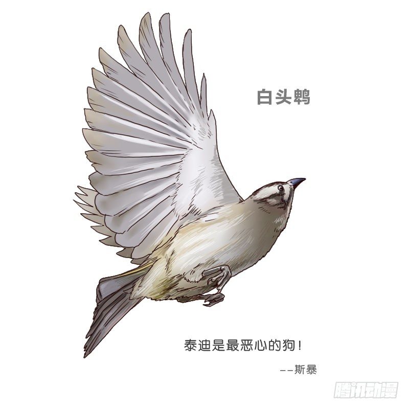 11查看监控64