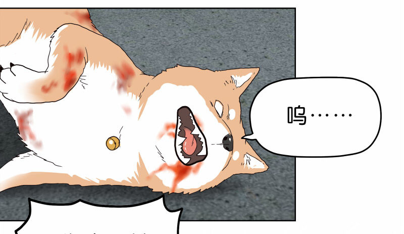 1我死了41