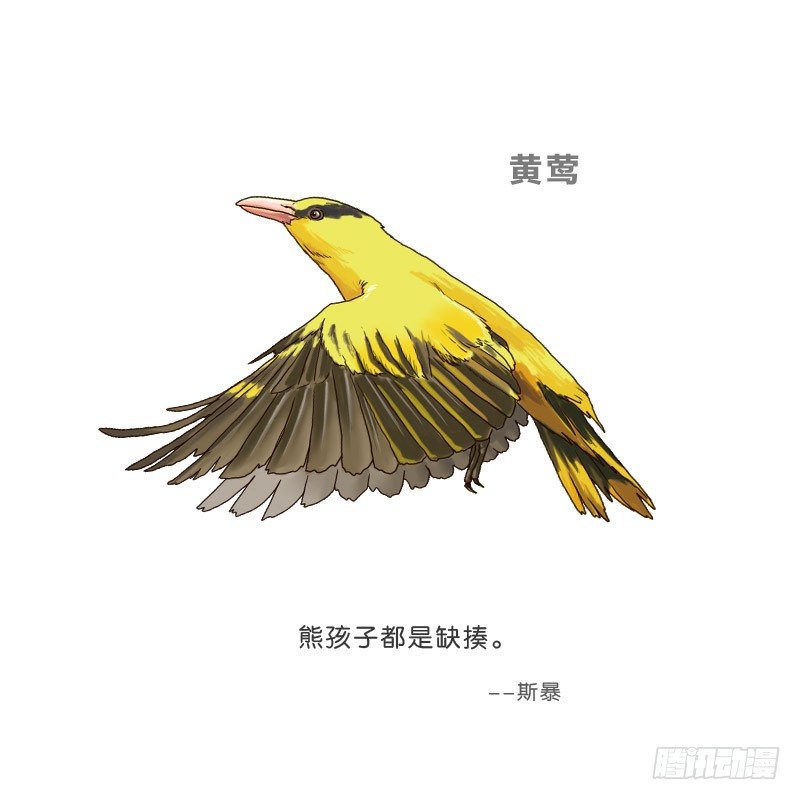 4买咖啡55