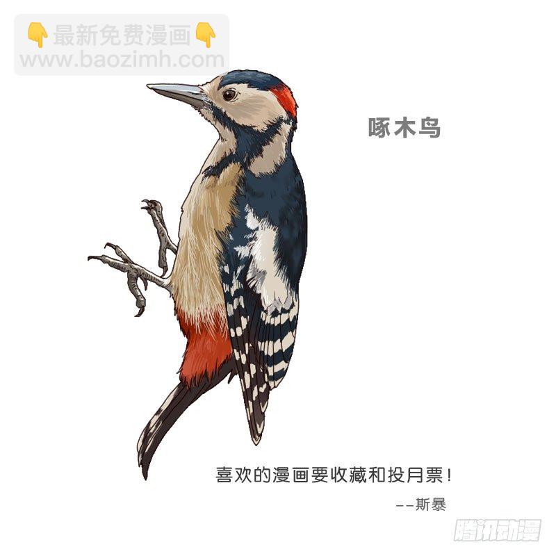 7侦探G72