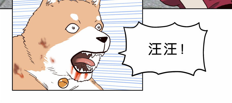 1我死了66