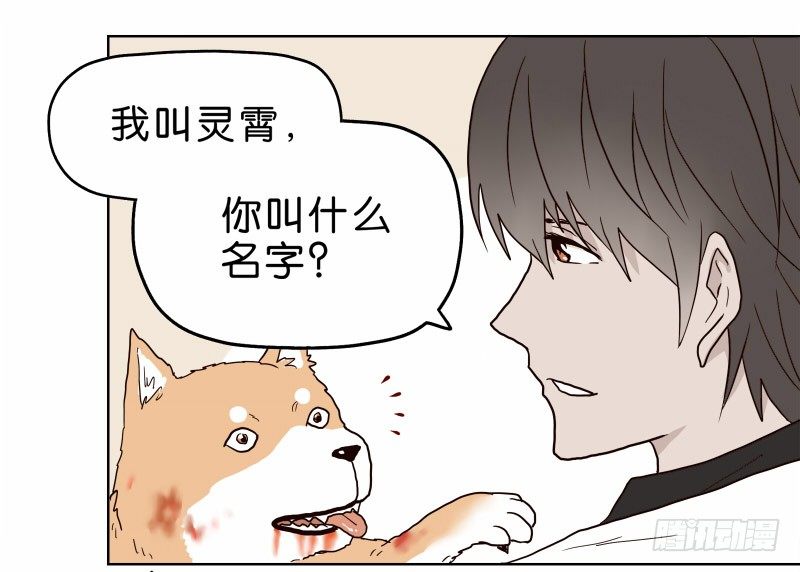 1我死了56
