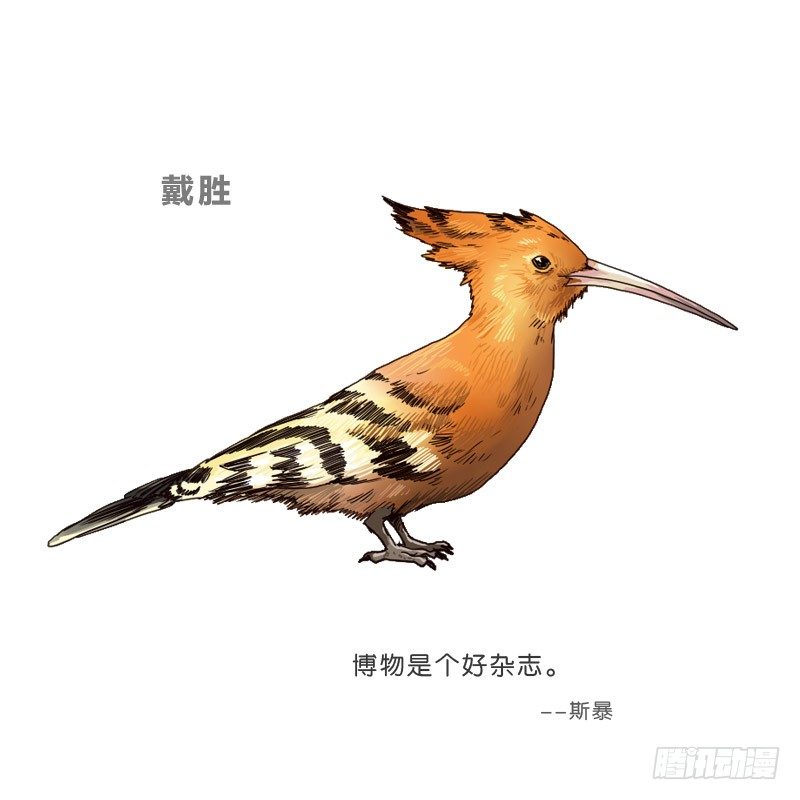 9试衣间偷窥71