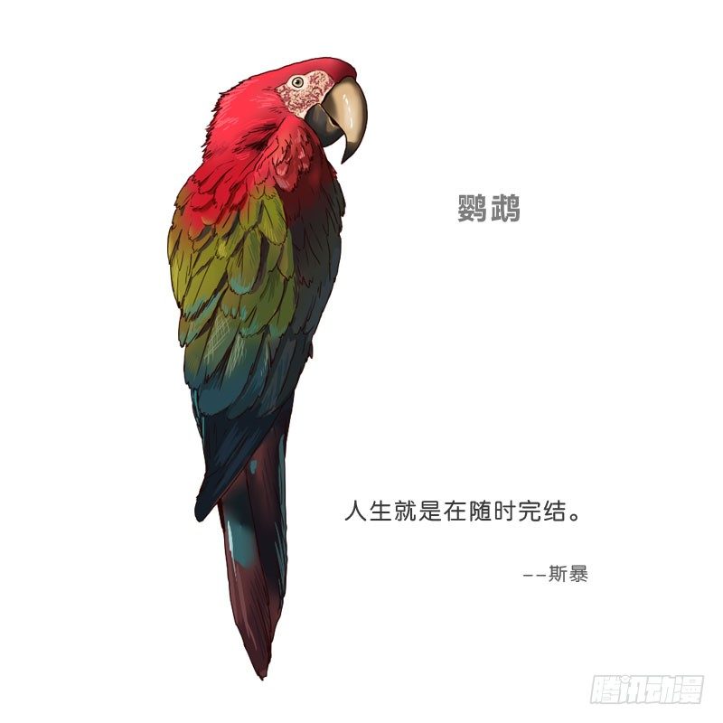 16秦三竖63