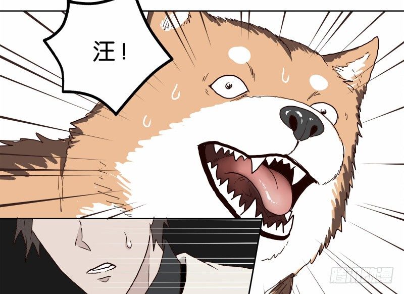 1我死了11