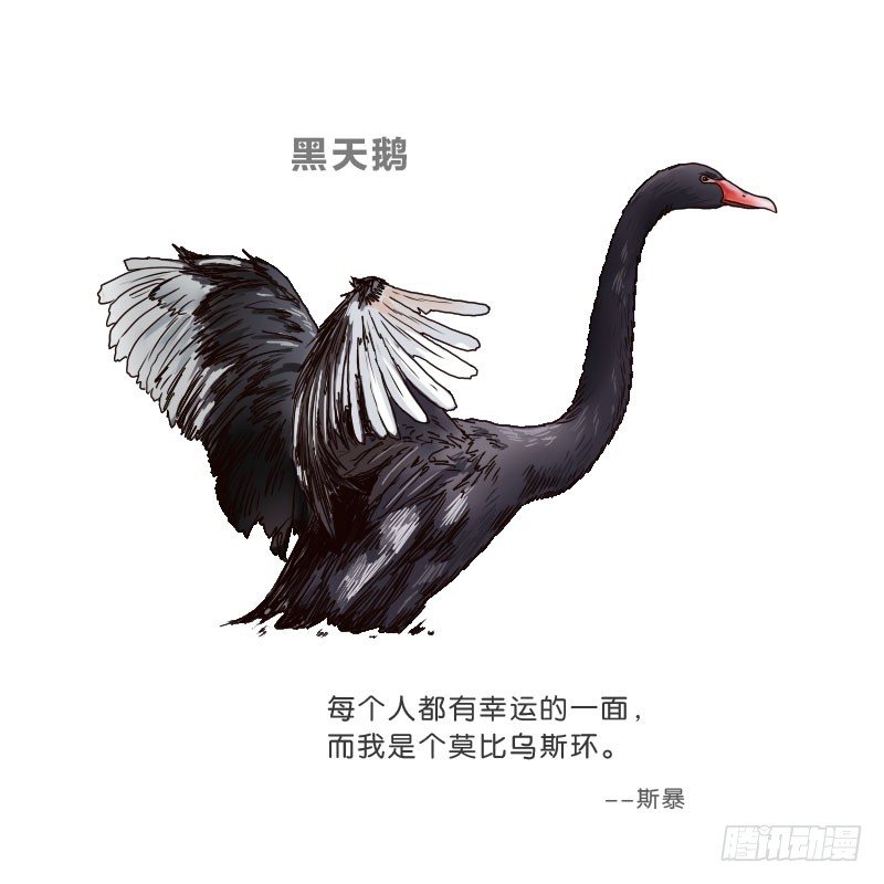 15 呸！68