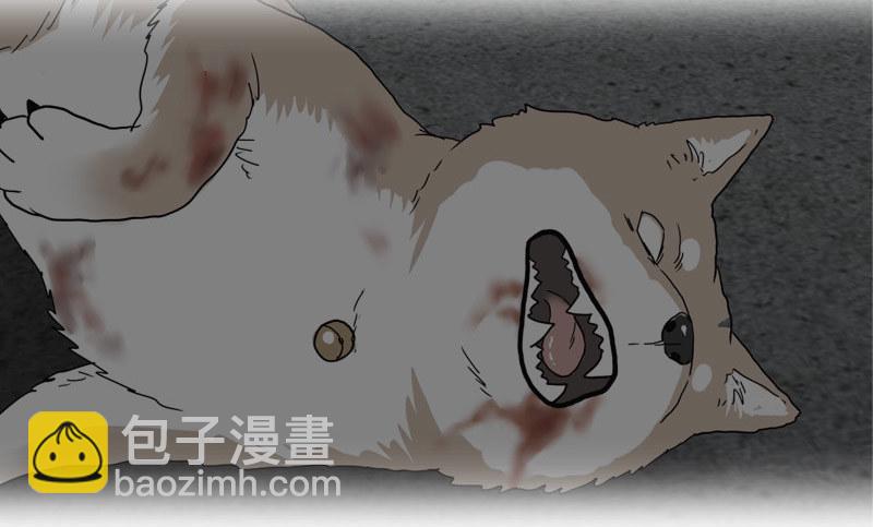 0预告3