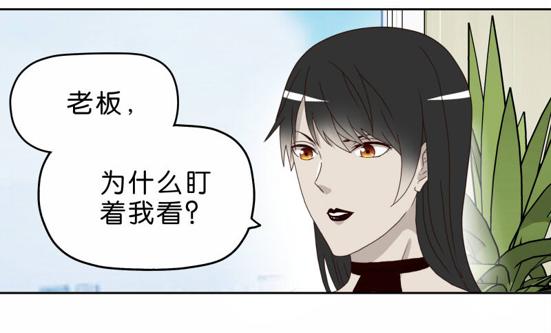 11查看监控42