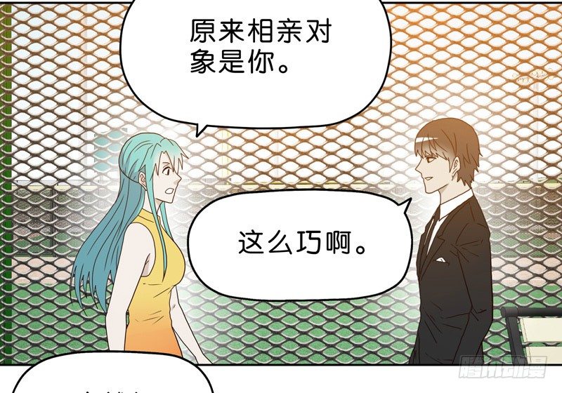 10网球相亲42