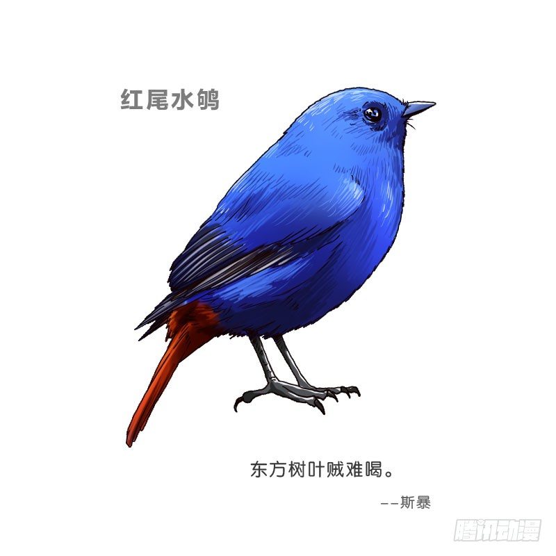 10网球相亲65
