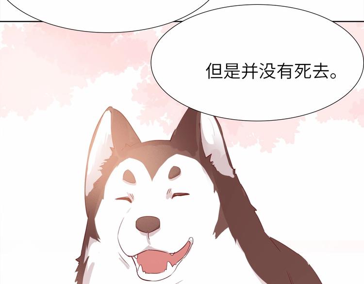 第13话 心动？74