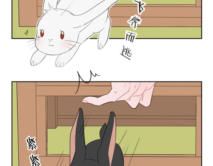 第十四份快递：你好，请签收你的快递33