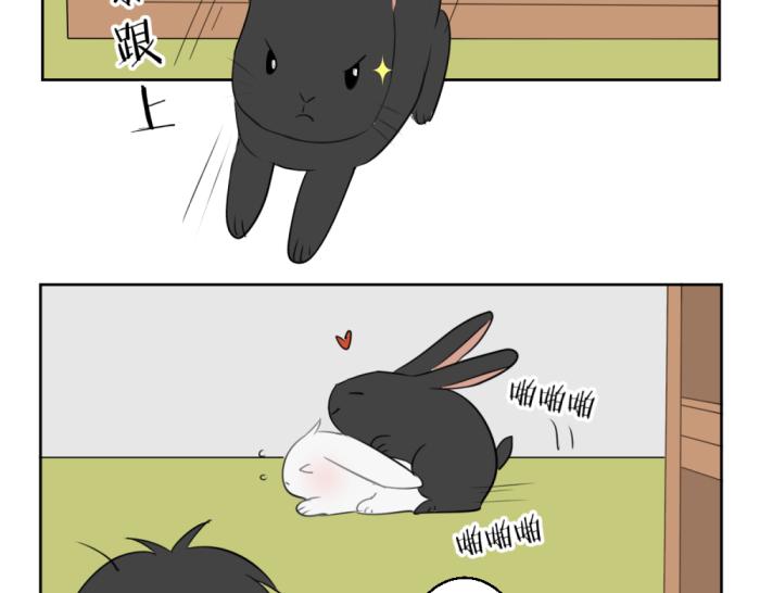 第十四份快递：你好，请签收你的快递34