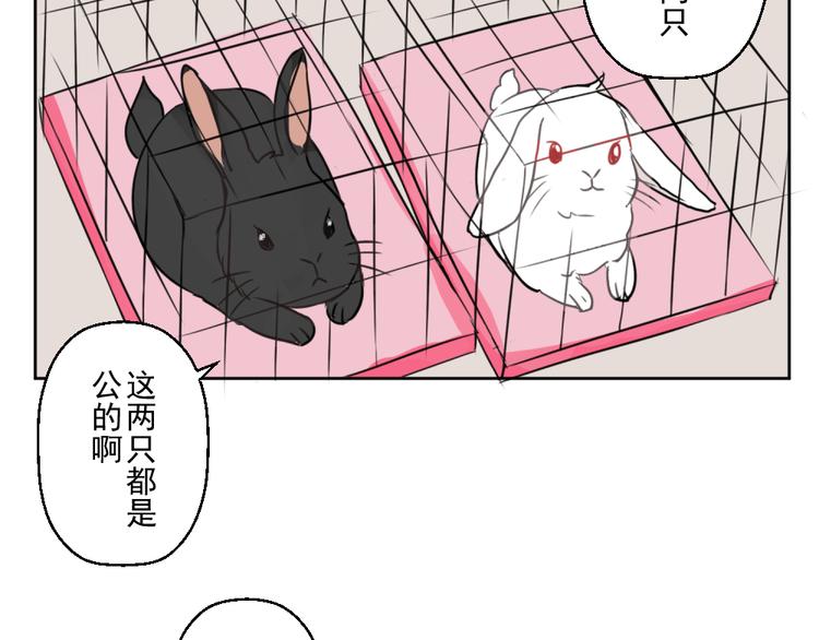 第九份快递： 你是来炫富的吗？46
