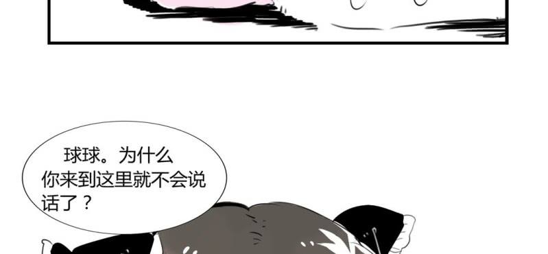二十二话21