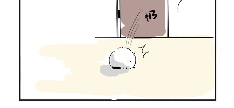 这里是萌萌的预告6