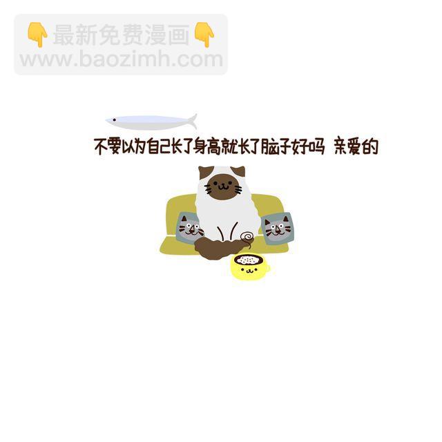 晚安#8 猫咪咖啡馆3